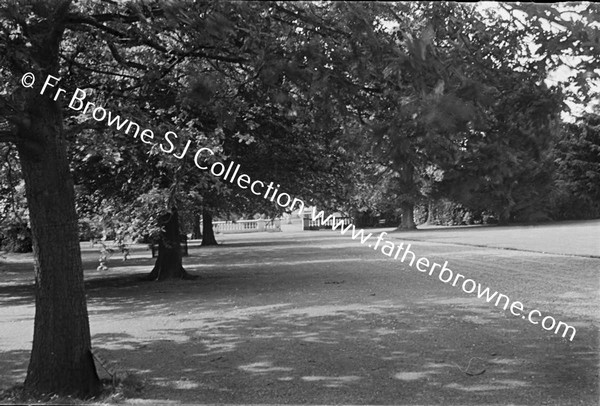 ARAS AN UACHTARAIN ROYAL AVENUE  KING EDWARD'S TREE